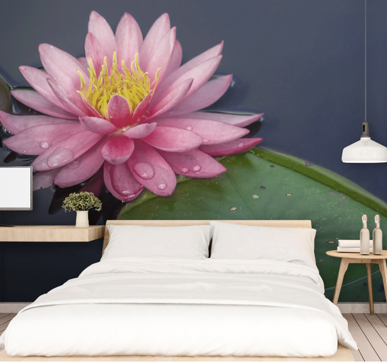 Serene pink loto flower wall mural - TenStickers