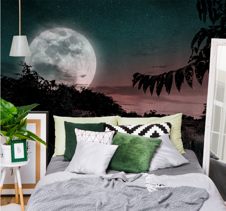 Space wall mural luminous moonlit night - TenStickers