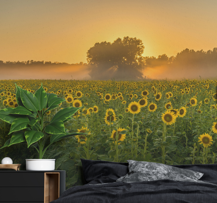 Sunflowers in a sunset nature wall mural - TenStickers
