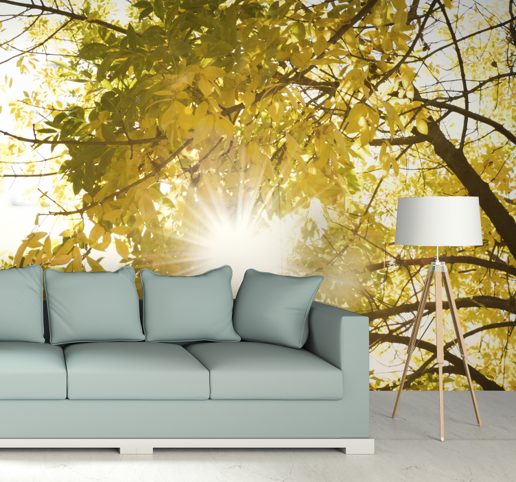 Sunlight glimpsing through a forest wall mural - TenStickers