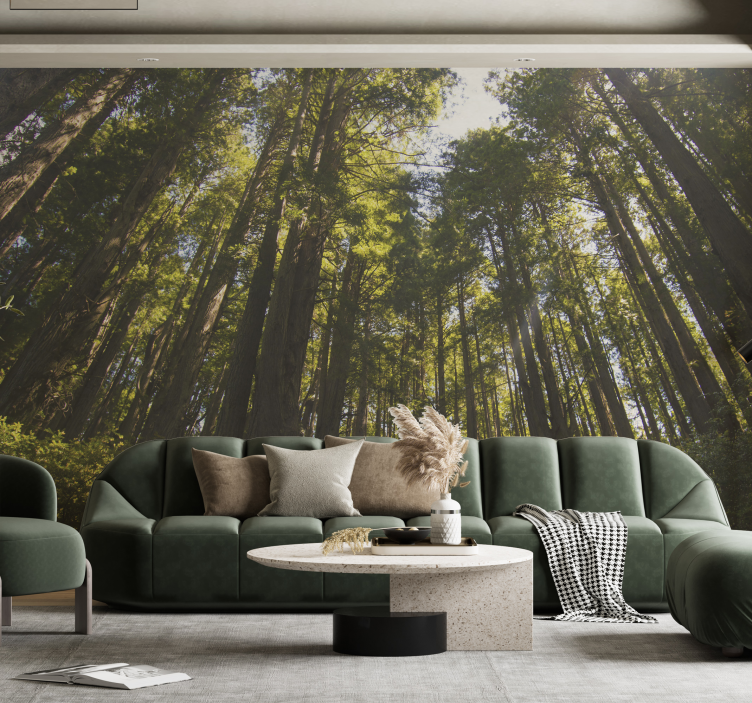 tall trees Forest Wall Mural - TenStickers
