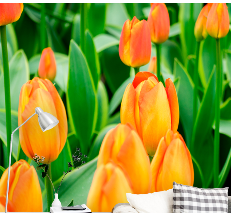 Tulips wall mural tulip blooms abundance - TenStickers