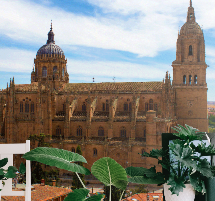 Wall mural madrid historic cathedral view - TenStickers