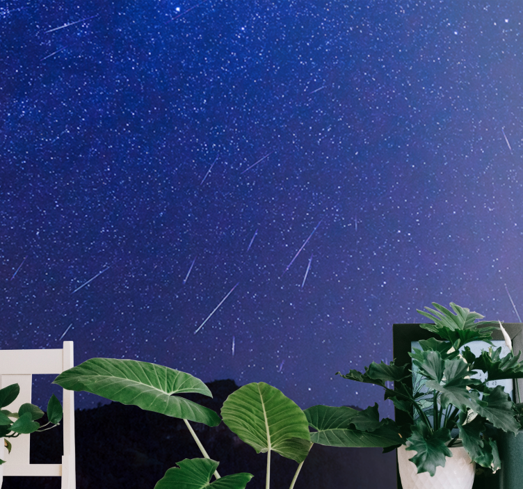 Wall mural mountain celestial comets night sky - TenStickers