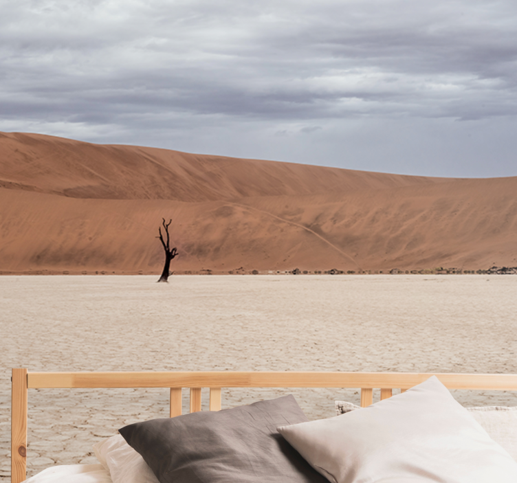 Wall mural mountain desert landscape view - TenStickers