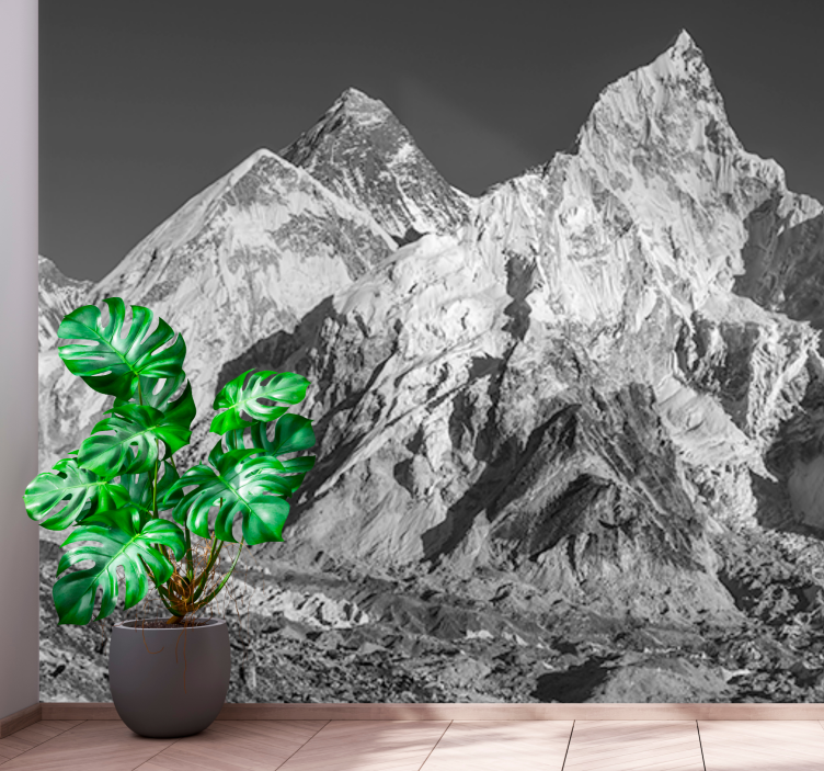 Wall mural mountain majestic peak range - TenStickers