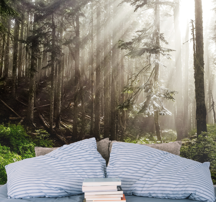 Wall mural nature foggy forest view - TenStickers