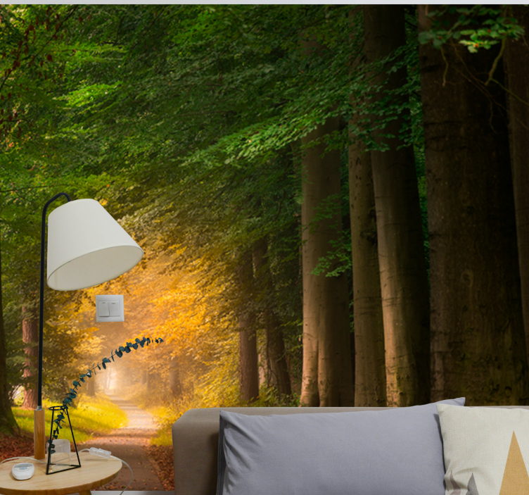 Wall mural nature forest pathway scene - TenStickers