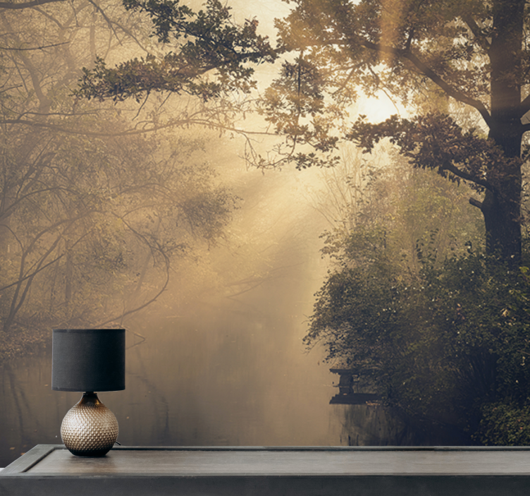 Wall mural nature luminous forest landscape - TenStickers