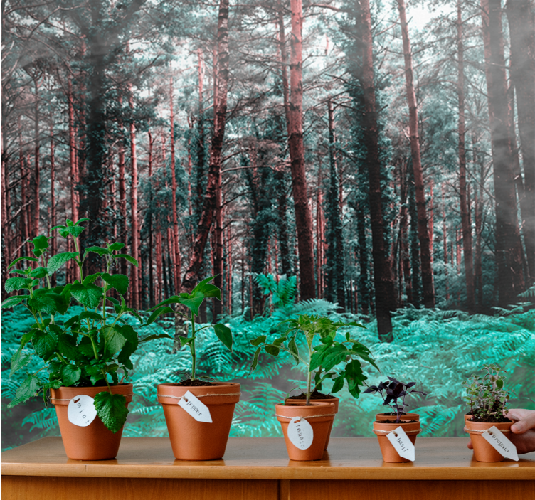 Wall mural nature lush green wilderness - TenStickers