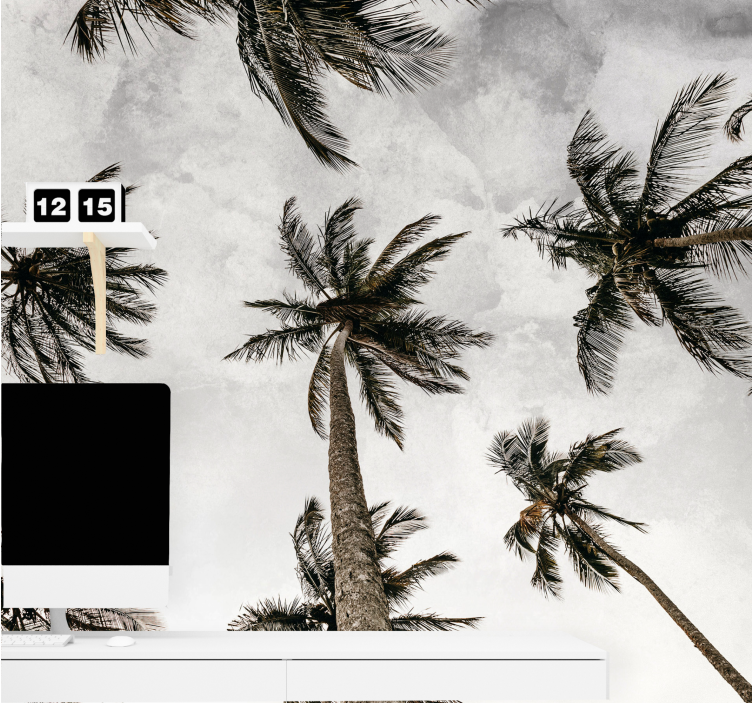 Wall mural nature palm tree canopy - TenStickers