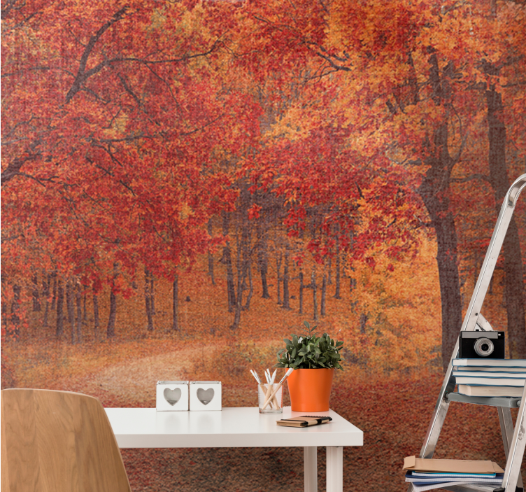 Wall mural nature rustic autumn pathway - TenStickers