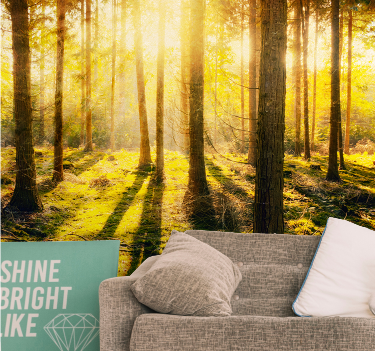 Wall mural nature sunlit forest scene - TenStickers