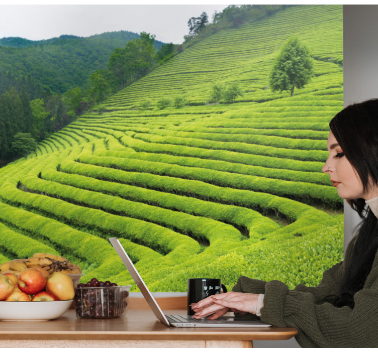 Wall mural nature tea estate landscape - TenStickers