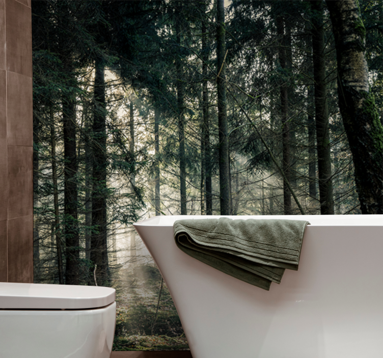 Wall mural nature tranquil forest scene - TenStickers