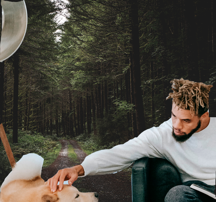 Wall mural nature verdant woodland path - TenStickers