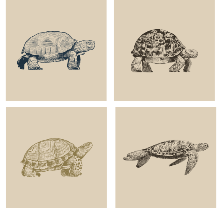 Vintage coasters with retro tortoise designs - TenStickers