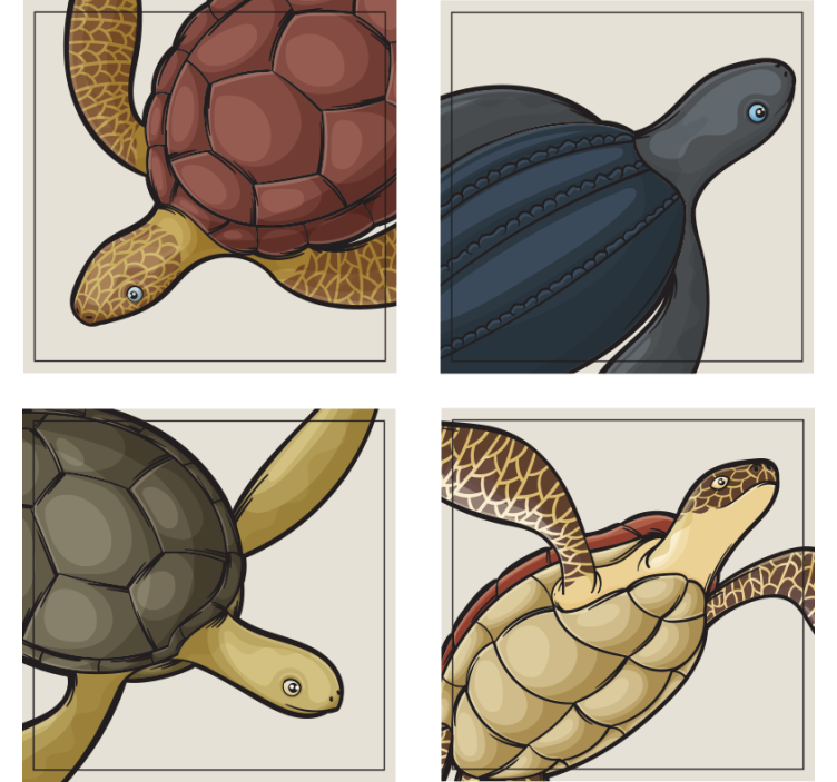Geek coasters featuring vibrant turtle art - TenStickers