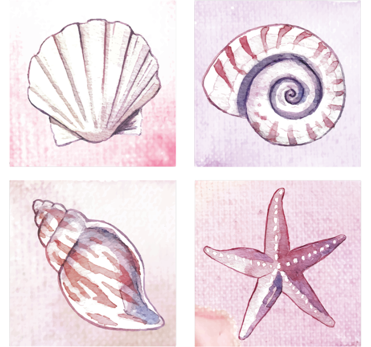 Natural shell watercolors coasters - TenStickers