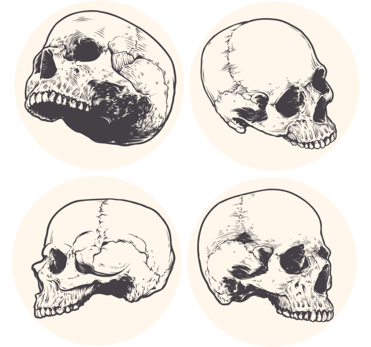 Geek coasters skull illustration collection - TenStickers