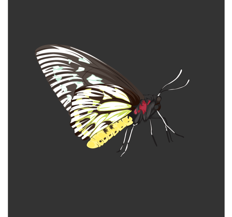 Geek coasters colorful butterfly artwork - TenStickers