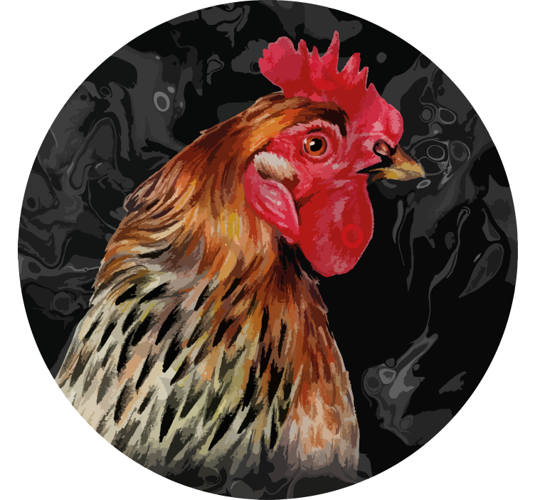 Vintage coasters realistic rooster portrait - TenStickers