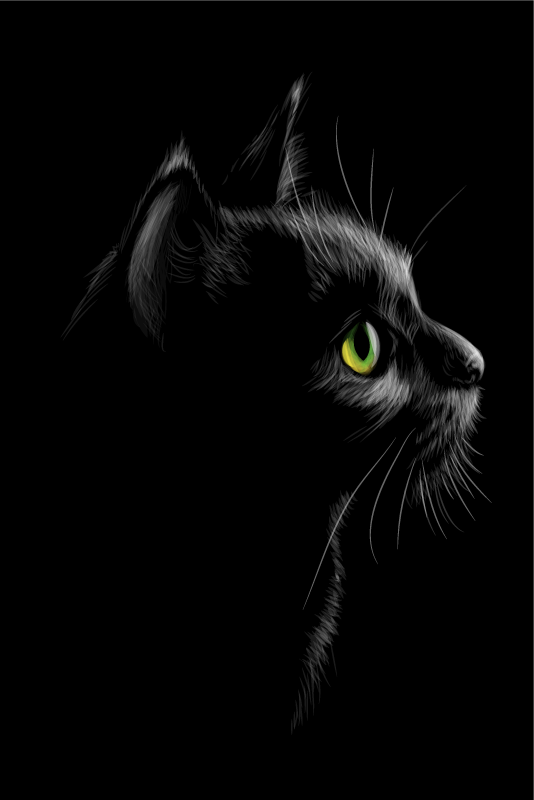 Living room poster green eyed cats - TenStickers