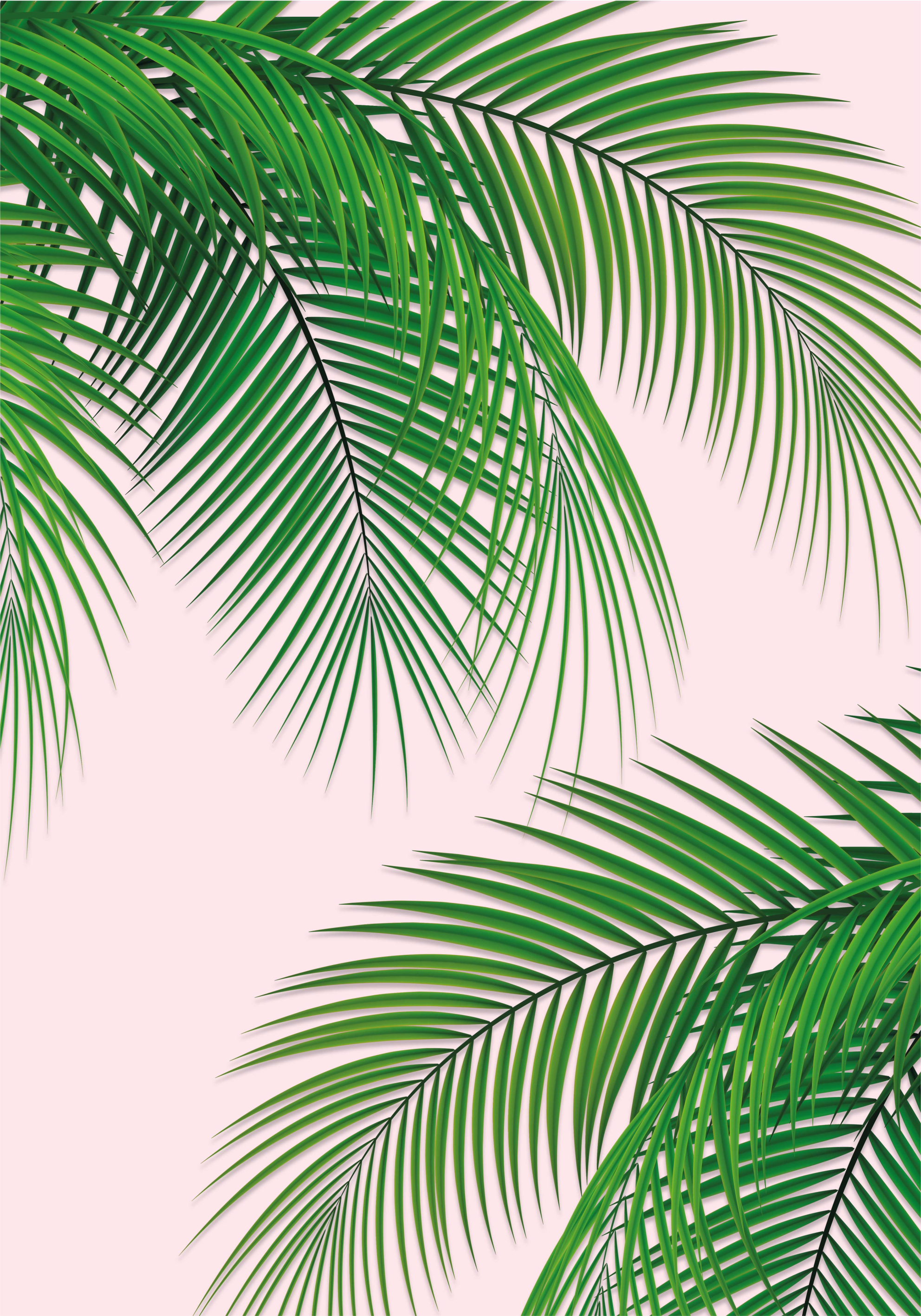 Tree poster with tropical leaves design - TenStickers
