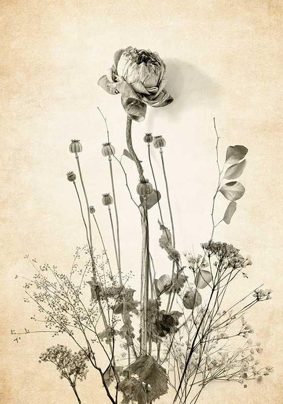 Plant poster bouquet of flowers on beige background - TenStickers