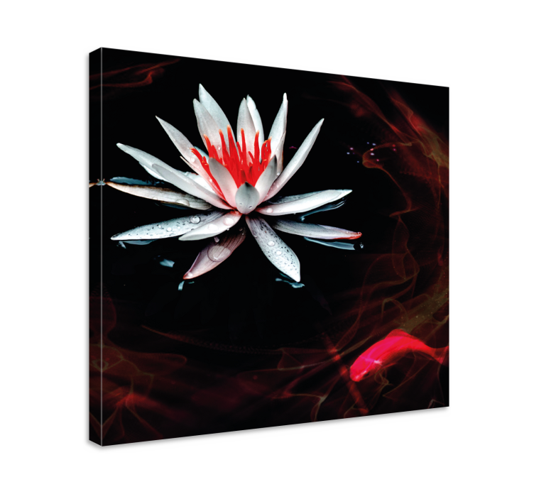 Flowers canvas lotus on water - TenStickers