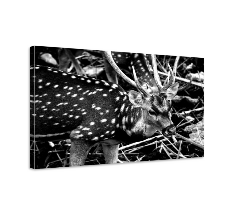 Black deer white dots stag canvas - TenStickers