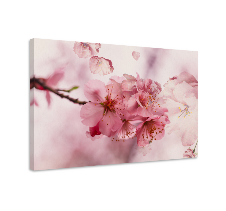 Blossoming Cherry Flowers flower framed canvas - TenStickers