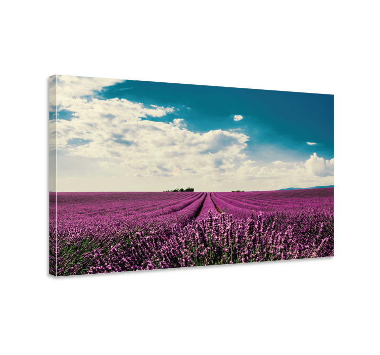 Flowers canvas lavender field art - TenStickers