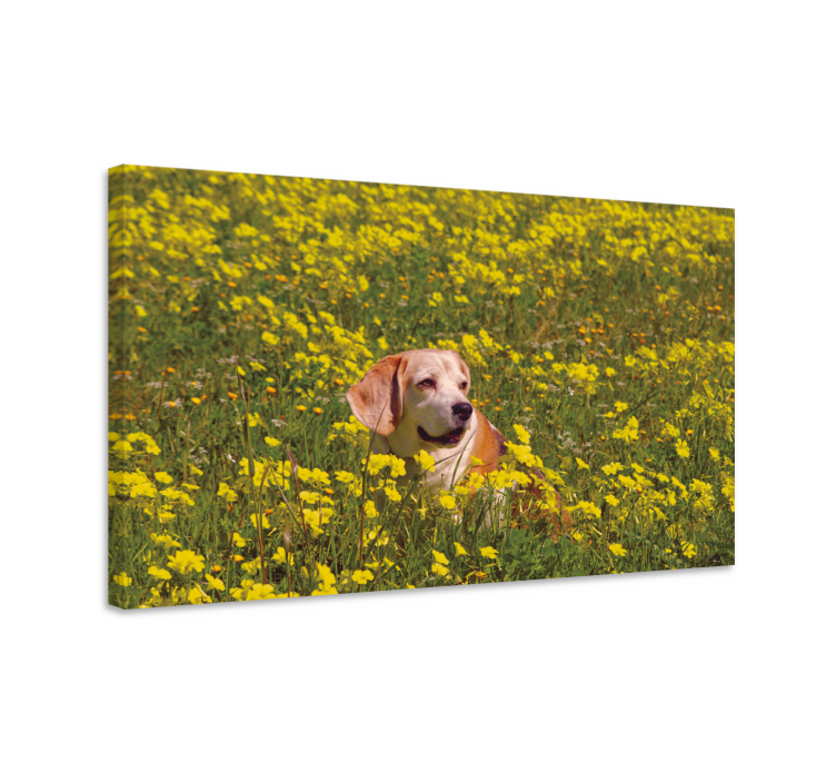 Dog laying in flowers flower canvas - TenStickers