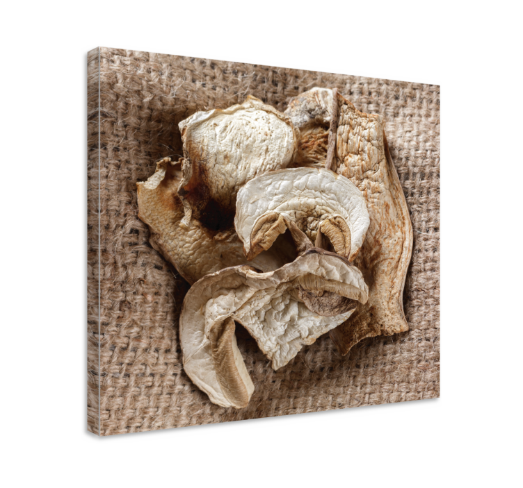 Flowers canvas dried mushroom arrangement - TenStickers