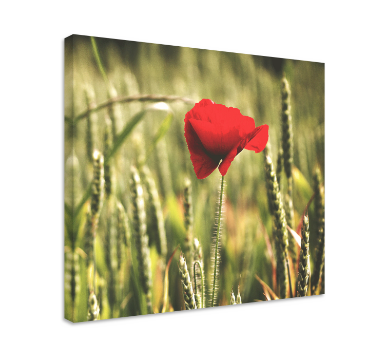 Red flower bloom flowers canvas - TenStickers
