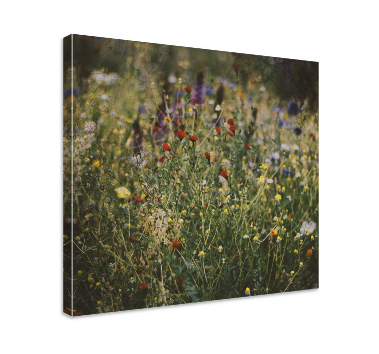 Flowers canvas wildflower meadow artwork - TenStickers