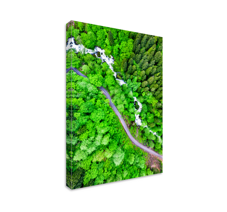 Landscape canvas winding forest river - TenStickers