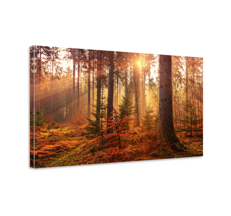 Perfect autumn forest landscape canvas - TenStickers