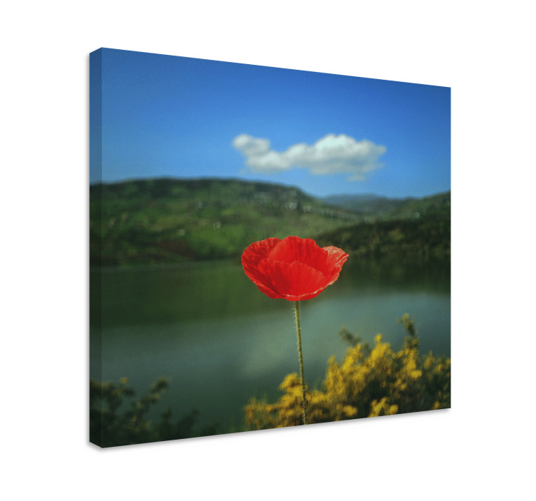 Flowers canvas red poppy bloom - TenStickers