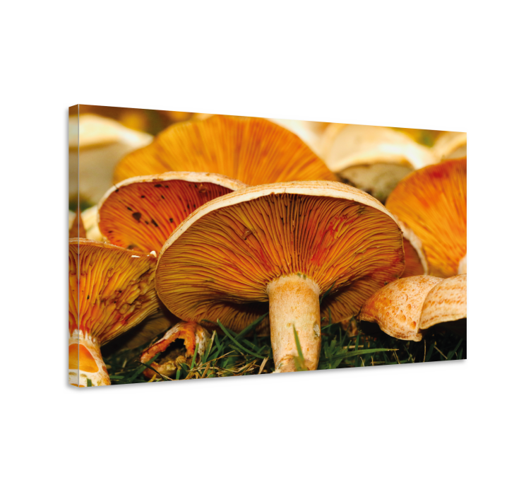 Flowers canvas with mushroom patterns - TenStickers