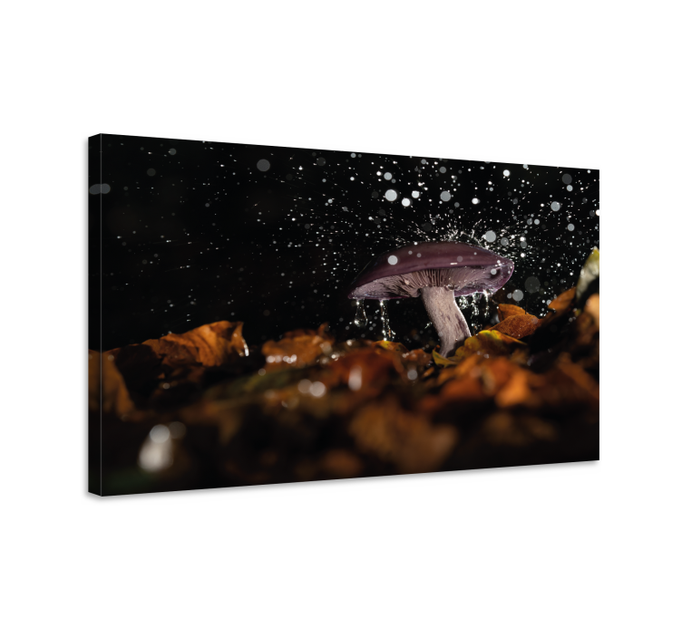 Flowers canvas mushroom splash - TenStickers