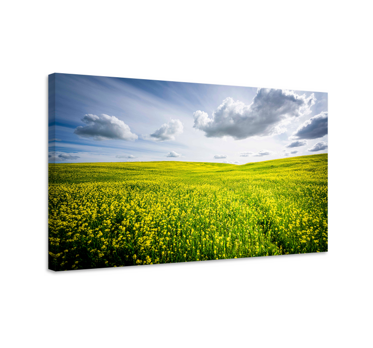 Yellow flower field landscape canvas - TenStickers