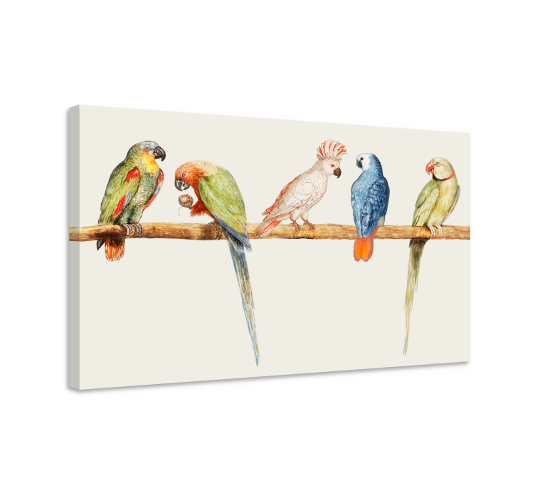 Bird canvas wall art colorful parrot collection - TenStickers