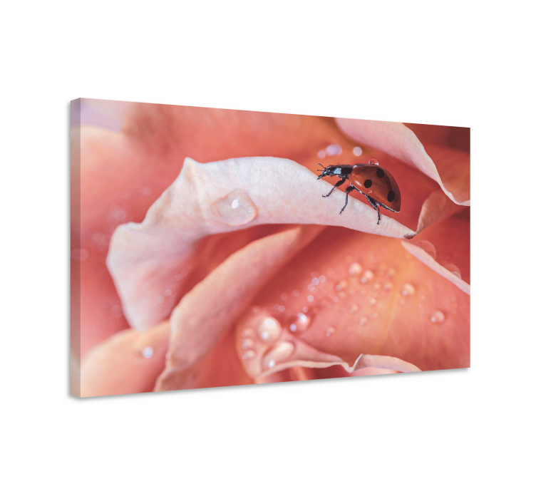 Elegant flower ladybug animal canvas prints - TenStickers