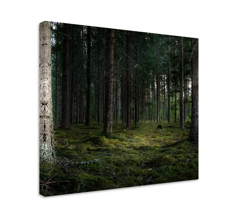 Tree canvas wall art serene forest depths - TenStickers