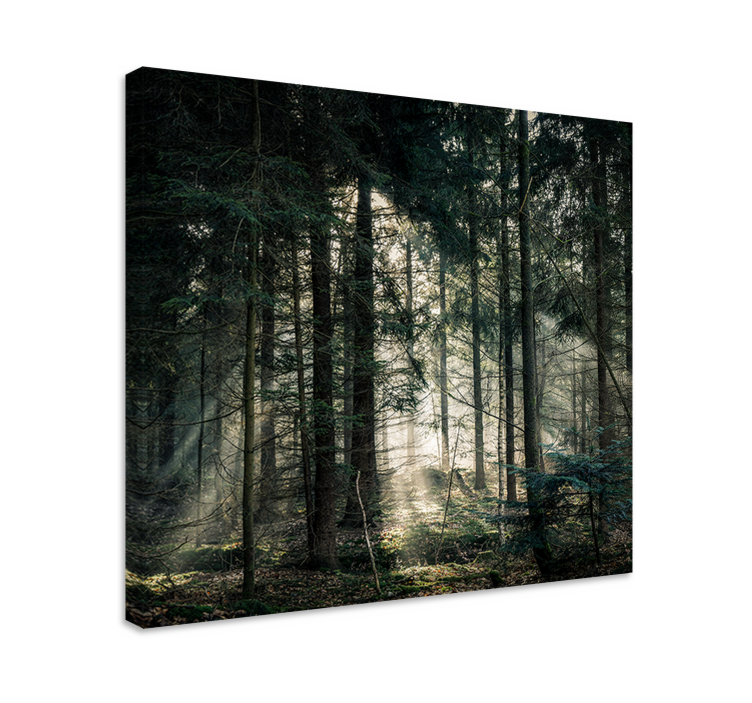 Landscape canvas sunlight through leaves - TenStickers