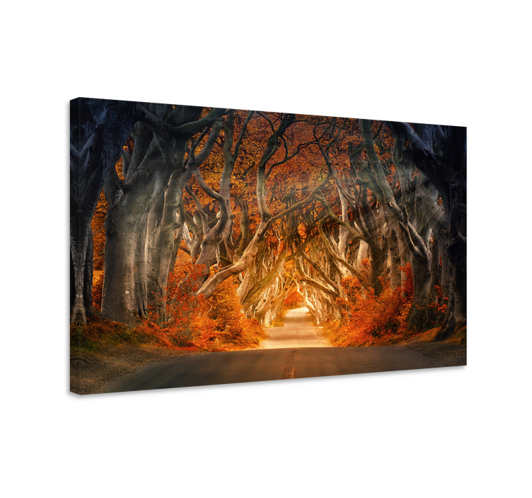 Beautiful view forest road landscape canvas - TenStickers