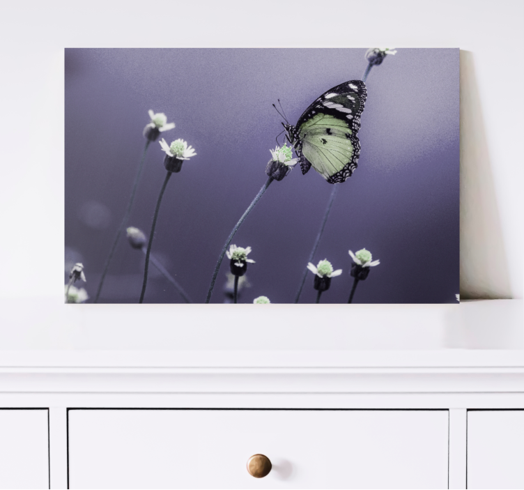 Butterfly canvas butterfly among flowers - TenStickers