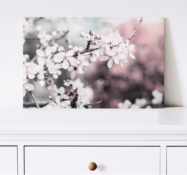 White cherry blossom Flowers  canvas - TenStickers